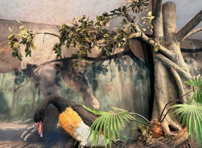 Dinosaur Tree Hidden Mickey