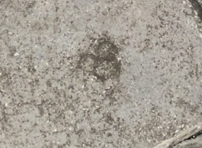 Main Street U.S.A. Hidden Mickey