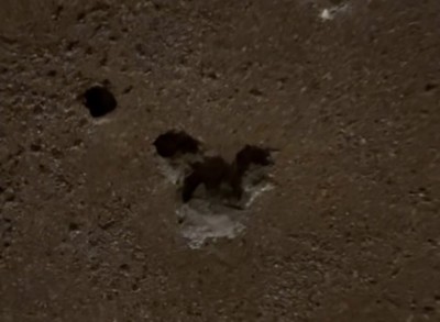 Remy's Ratatouille Adventure Hidden Mickey