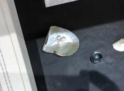 Japan Pavilion Hidden Mickey