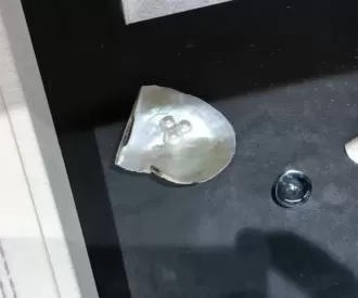 Japan Pavilion Hidden Mickey