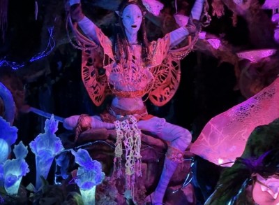 Na'vi River Journey Hidden Mickey