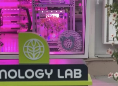 Test Tubes Hidden Mickey