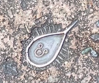 The Hidden Mickey Right Under Your Feet in Adventureland