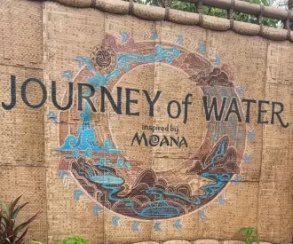Journey of Water, Inspired by Moana Hidden Mickey