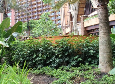 Makahiki Restaurant Hidden Menehune