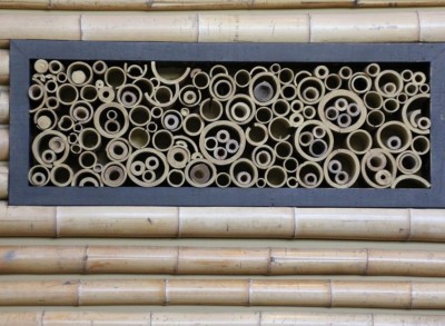 Disney's Polynesian Resort Bamboo Hidden Mickey