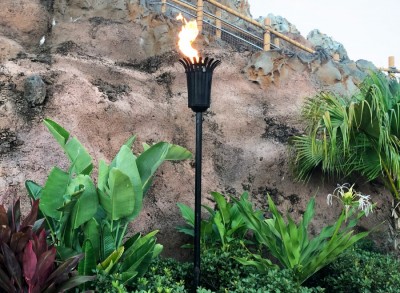 Polynesian Resort Hidden Mickey