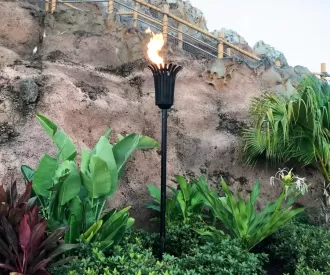 Polynesian Resort Hidden Mickey