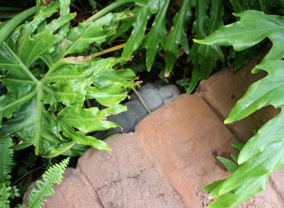 Aulani Hidden Sleeping Menehune 