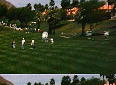 Golf Ball Hidden Mickey