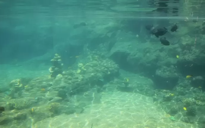 Rainbow Reef Hidden Menehunes