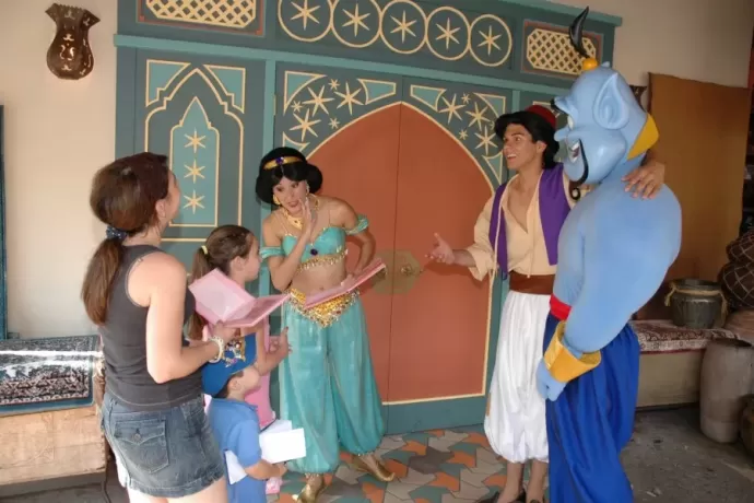 Hidden Mickey Door
