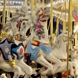 Spotting Cinderella’s Royal Steed at Magic Kingdom!