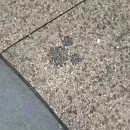 Disney Springs Hidden Mickey