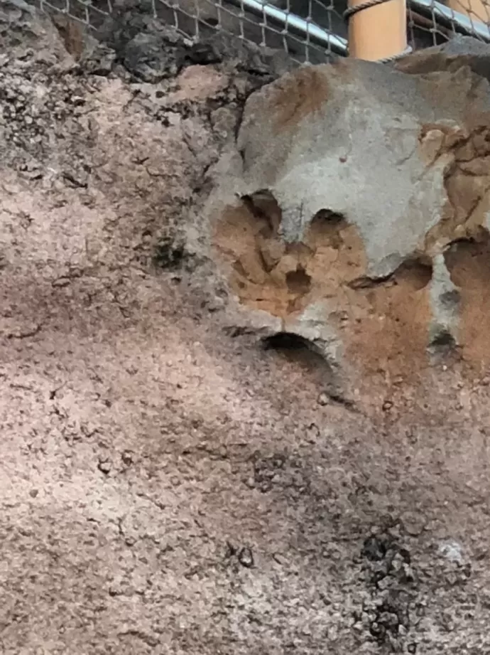 Detail