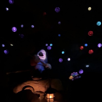 Seven Dwarfs Mine Train Hidden Mickey