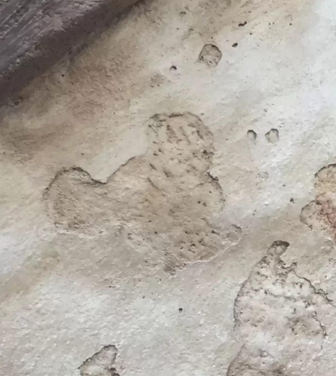 Detail