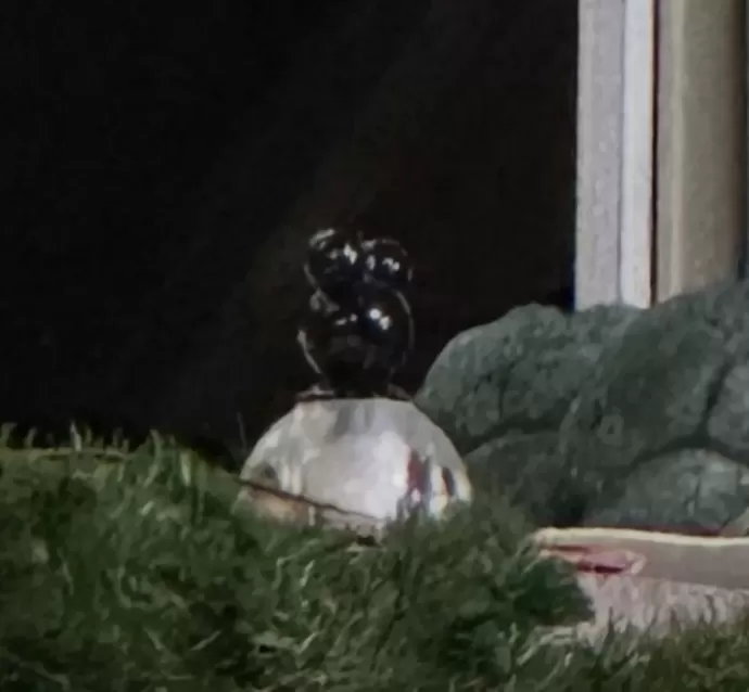 Detail
