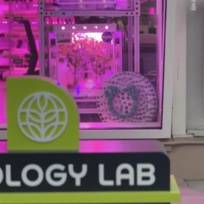 Test Tubes Hidden Mickey