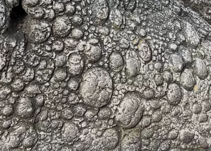 Detail