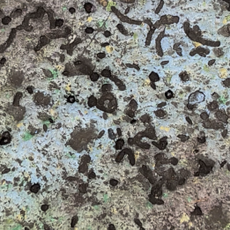 Avatar Flight of Passage Gravel Hidden Mickey