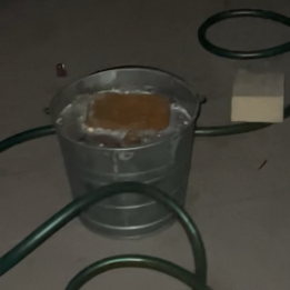 The Quest for the "Bucket Mickey": Uncovering Spaceship Earth’s Rarest Secret