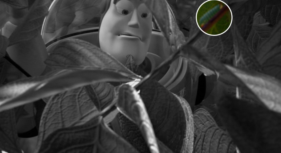 Toy Story 2 Hidden Bugs Life Find Mickeys
